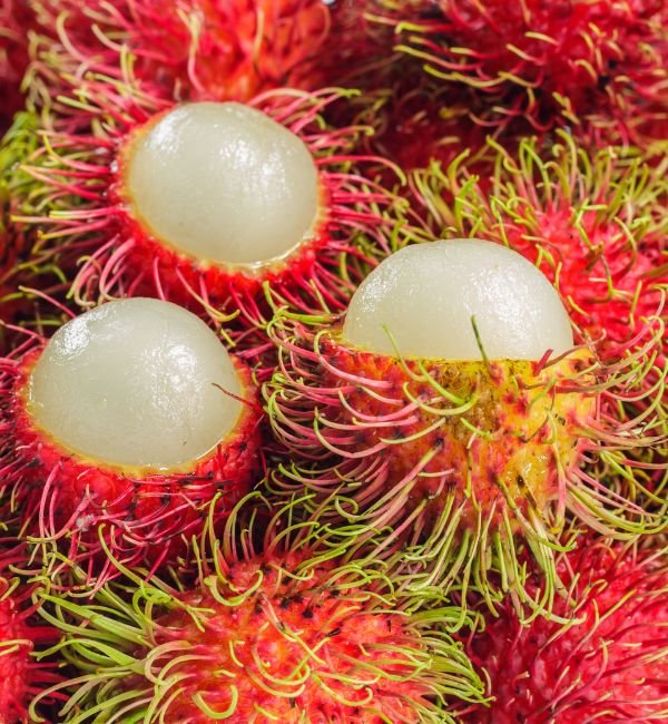 Rambutan